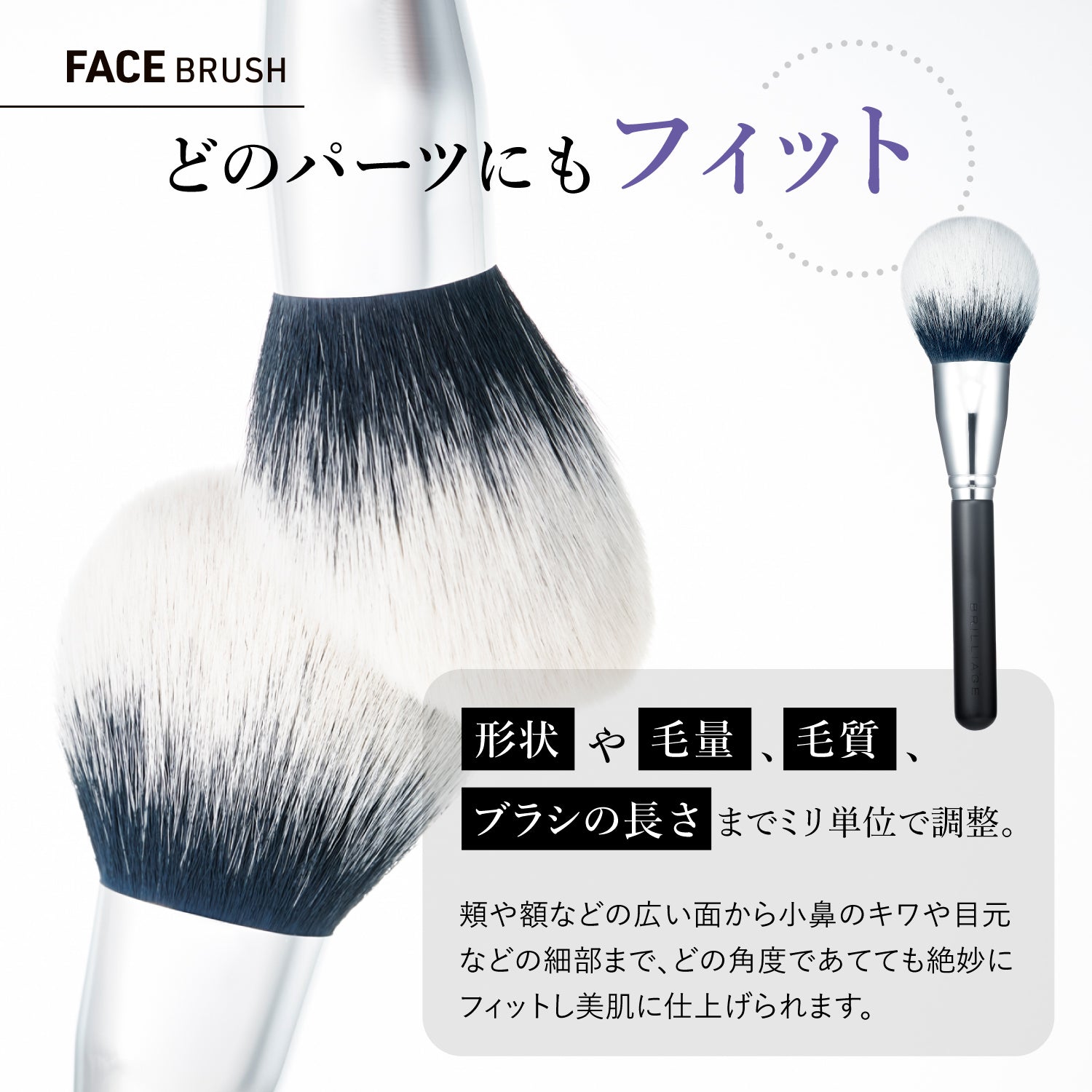フェイスブラシ