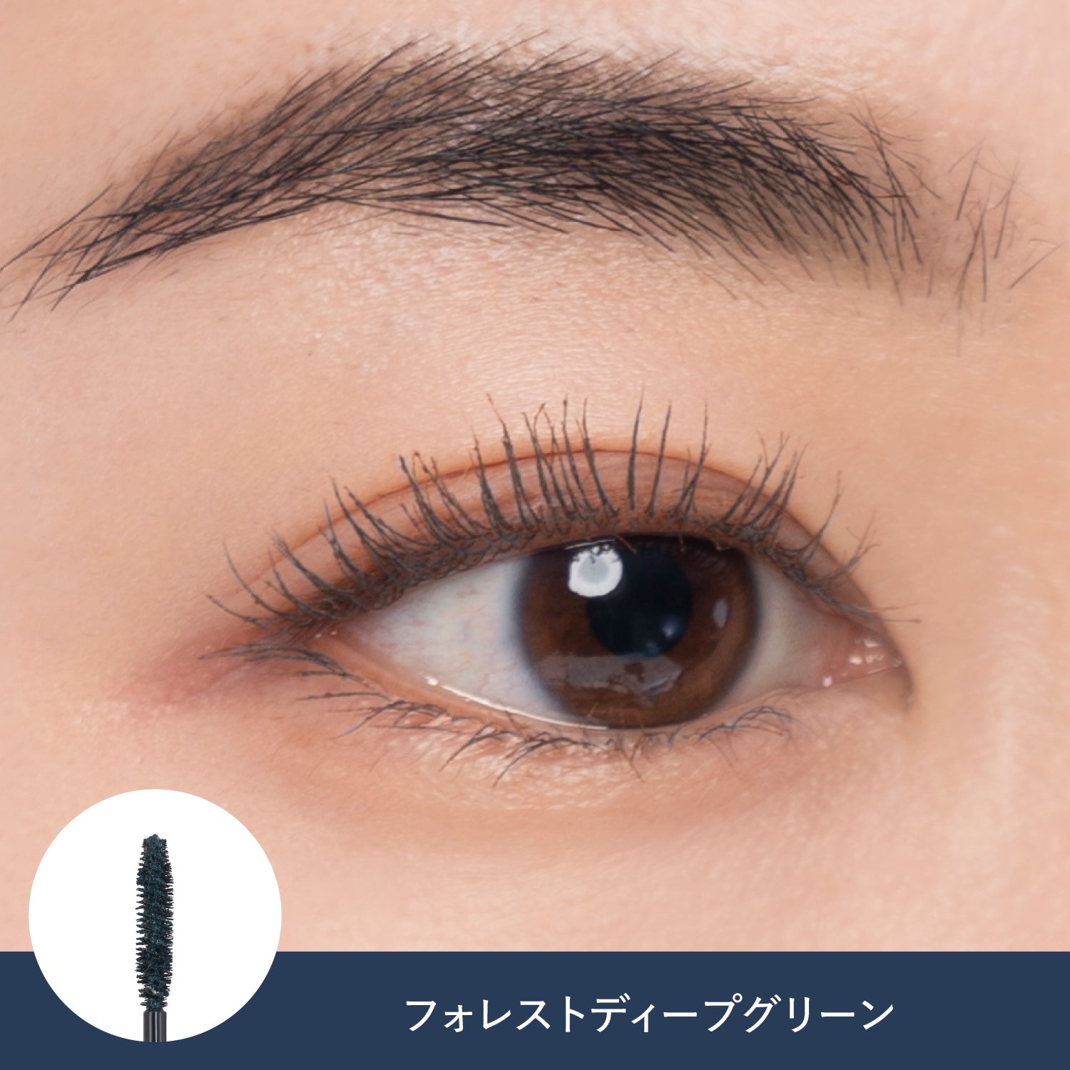 2025AW コンプリートコレクション