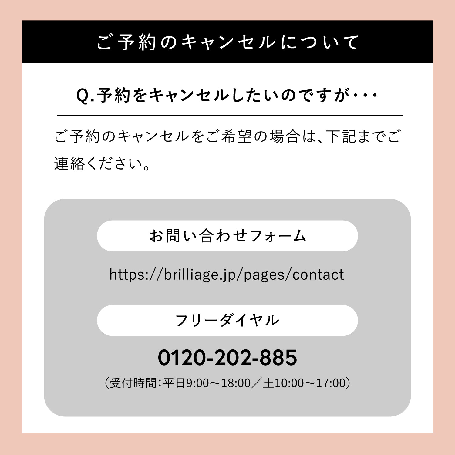 【予約販売】カモフラージュ コンシーラーチーク