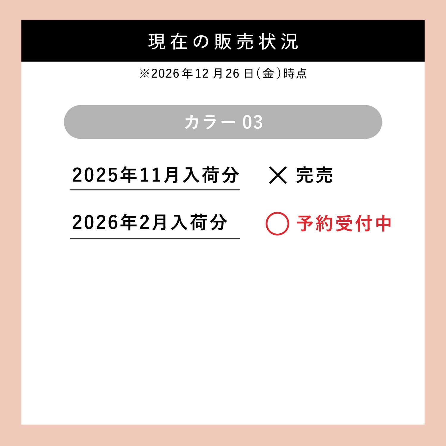 【予約販売】カモフラージュ コンシーラーチーク