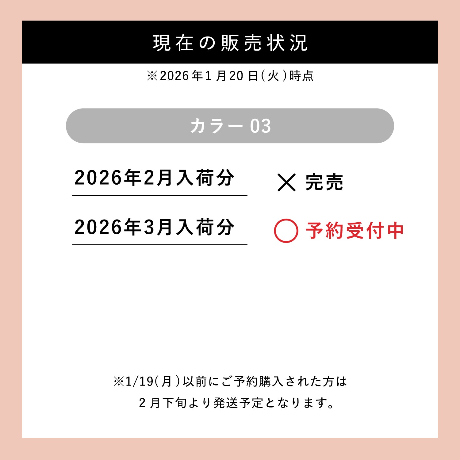 【予約販売】カモフラージュ コンシーラーチーク