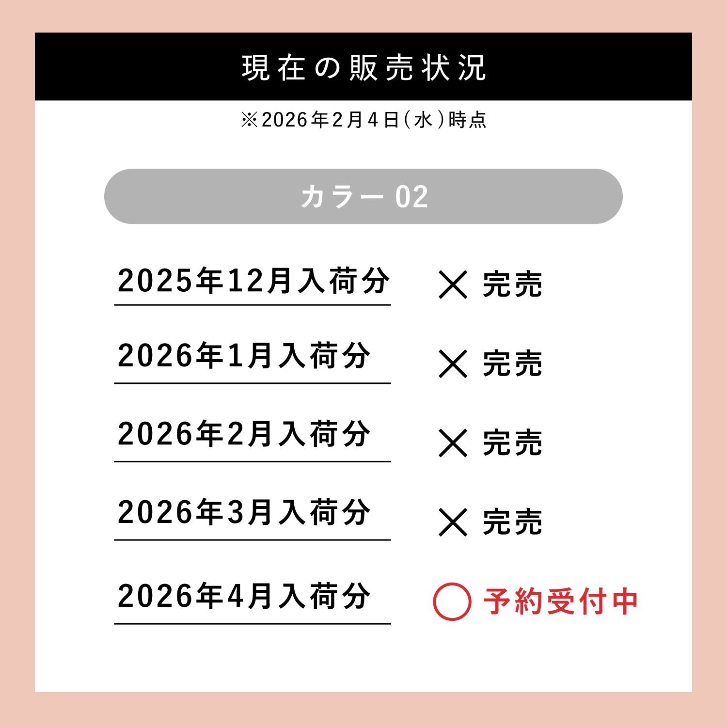 【予約販売】カモフラージュ コンシーラーチーク