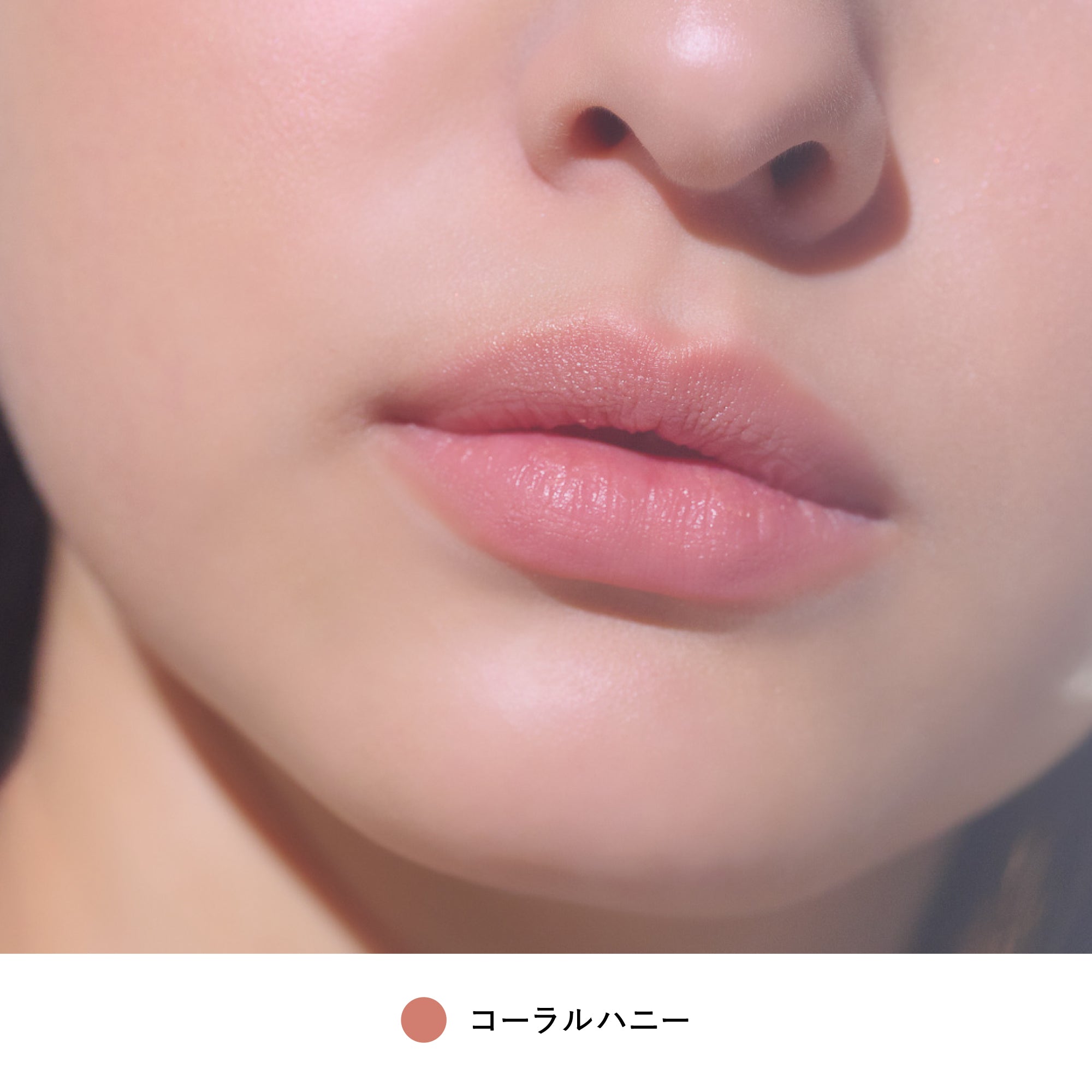 2026サマー コンプリートコレクション