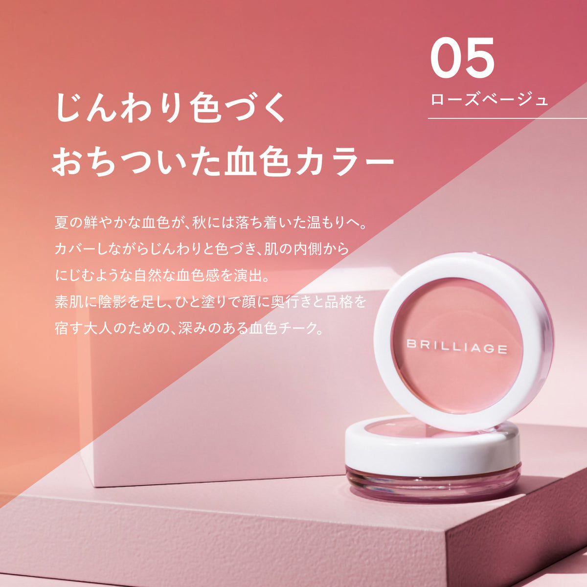 2026AW コレクション + ツールセレクション