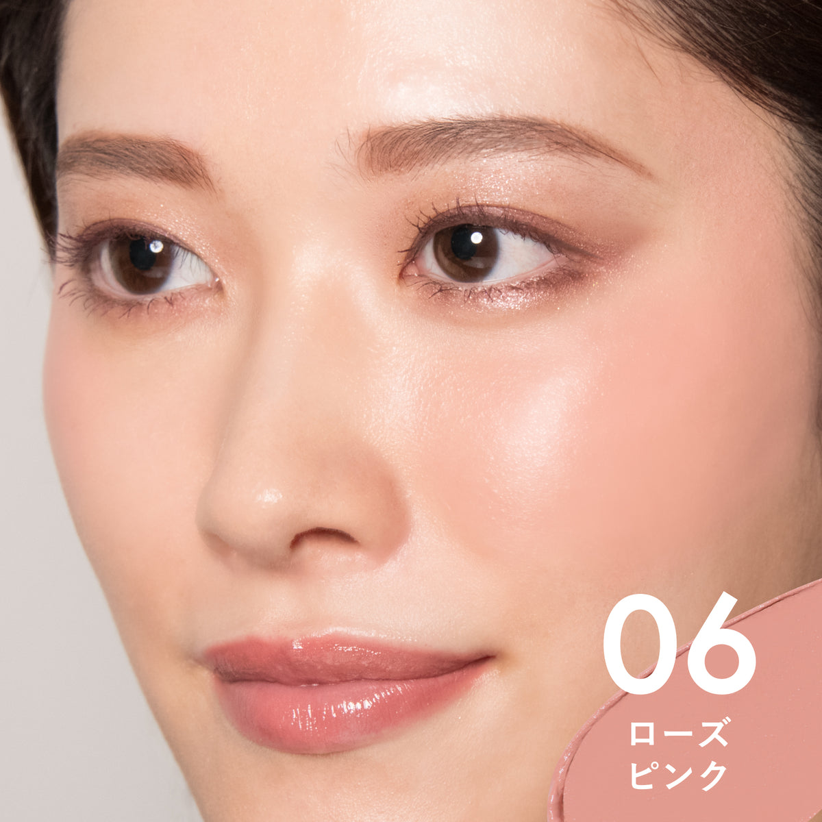 2026AW コレクション + ツールセレクション