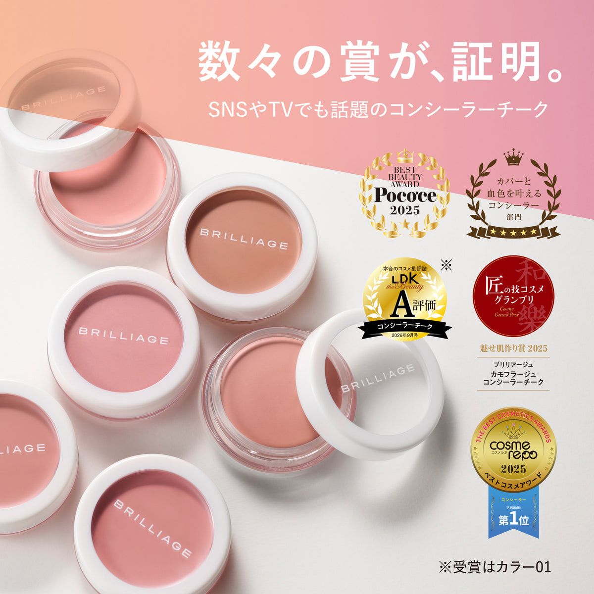 カモフラージュ コンシーラーチーク