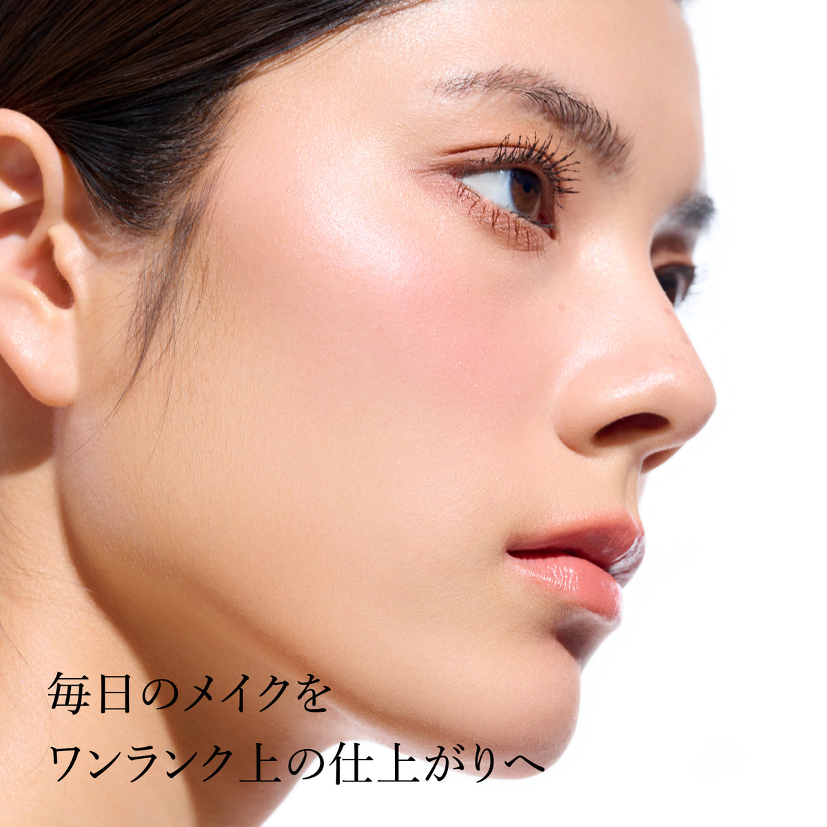 【優待】マルティプル デザイン ブラシ