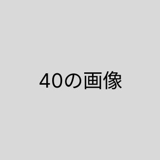 40（標準）