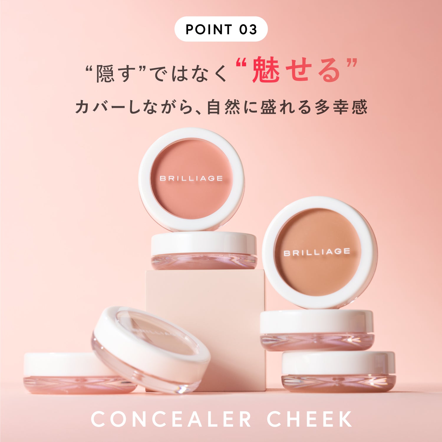 ブリリアージュ　コンシーラーチーク　ブラシセット カモフラージュ コンシーラーチーク｜ブリリアージュ他、1商品を