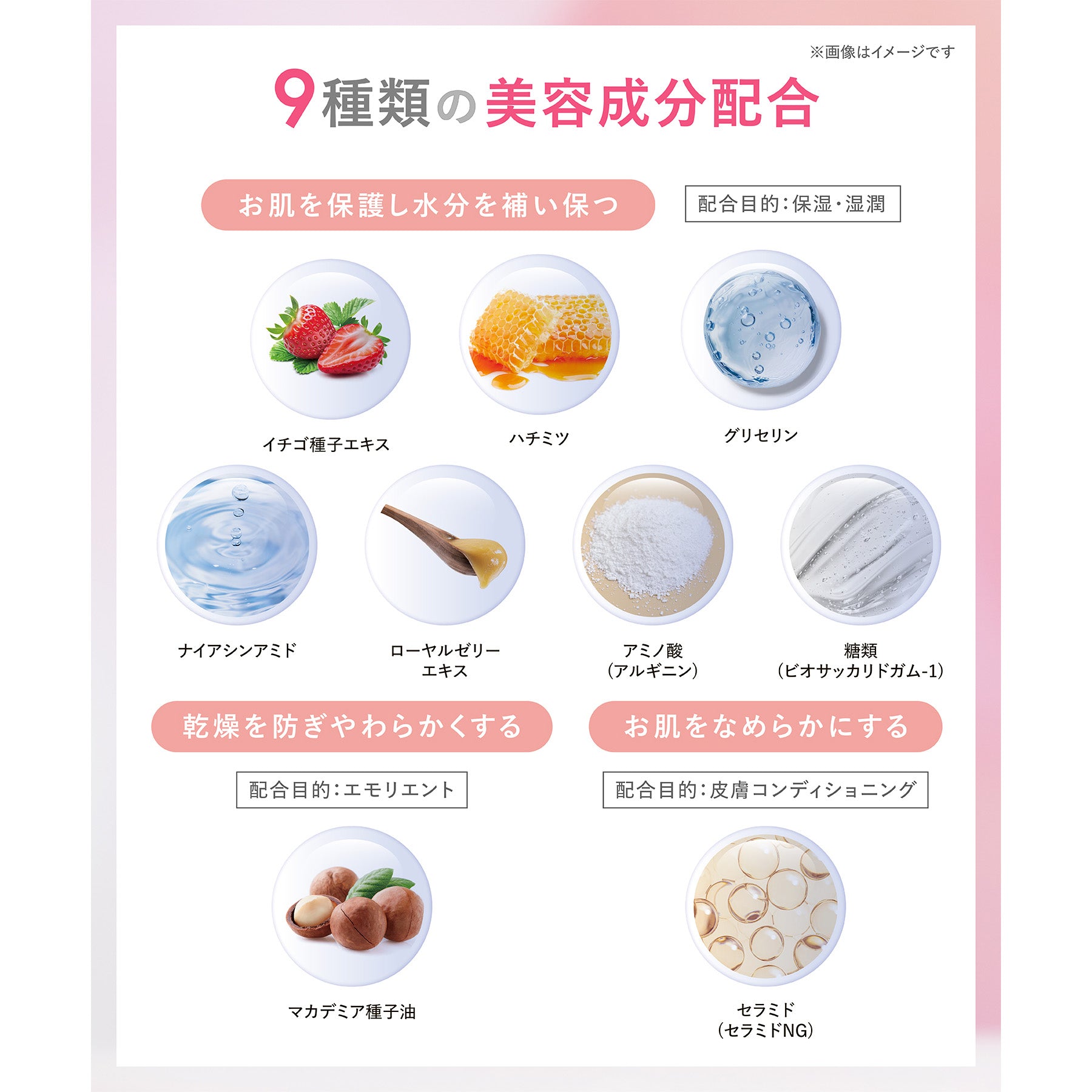 【夏用ベース増量55g】プライマー リッチ ファンデーション + テクニカルブレンダー -4点セット-